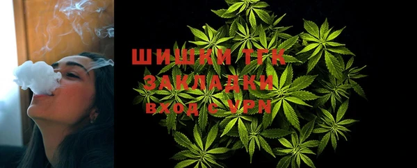 гашик Надым