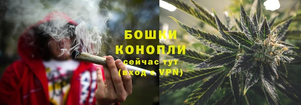 ГАЛЛЮЦИНОГЕННЫЕ ГРИБЫ Навашино