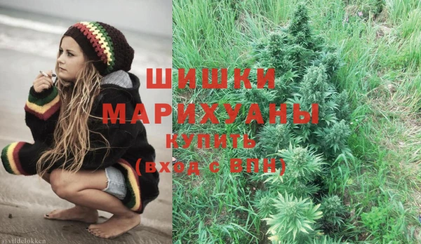 ГАЛЛЮЦИНОГЕННЫЕ ГРИБЫ Навашино