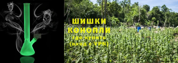 ГАЛЛЮЦИНОГЕННЫЕ ГРИБЫ Навашино