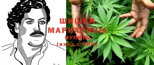 гашик Надым