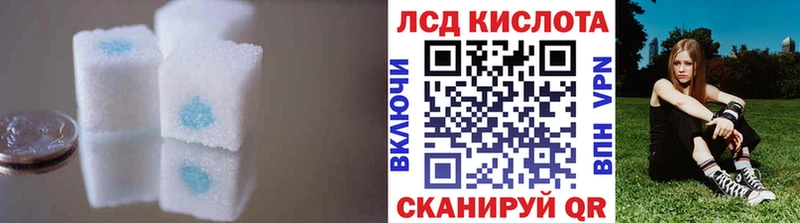 Лсд 25 экстази кислота  где купить наркоту  Бердск 