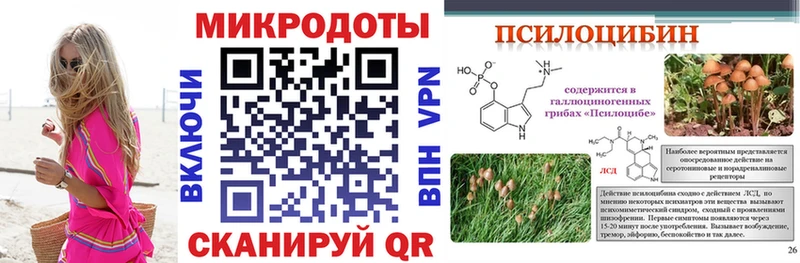 мега онион  Бердск  Псилоцибиновые грибы мицелий 