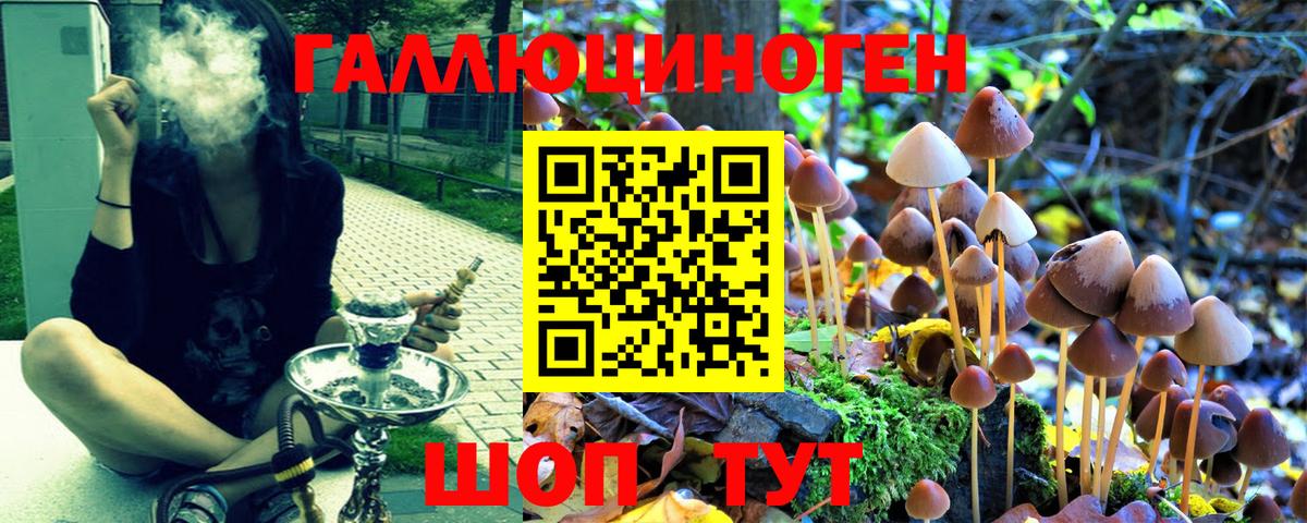 Бердск  продажа наркотиков  Вход с VPN  Псилоцибиновые грибы мухоморы 
