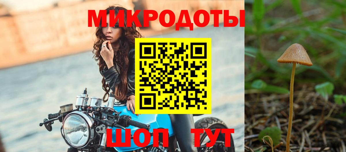 Галлюциногенные грибы прущие грибы Бердск